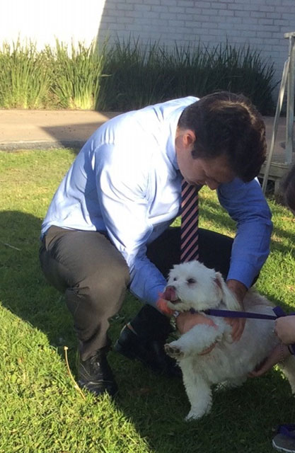 Vet chiropractor Melbourne
