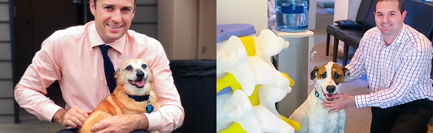 Animal Chiropractor Melbourne - Same Day Service